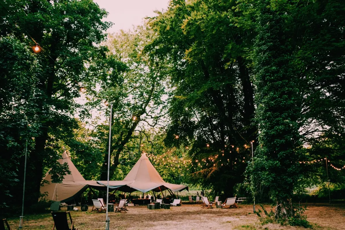 Zonlicht door de bomen in een bos